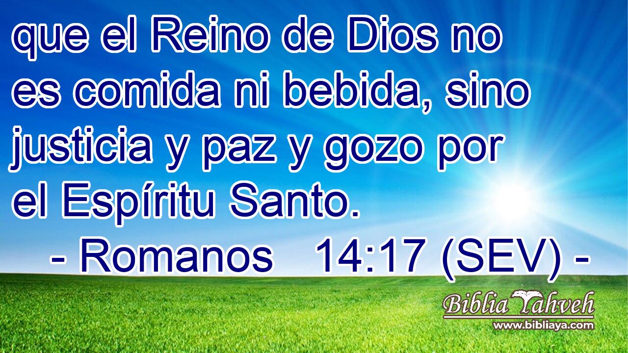 que el Reino de Dios no es comida ni bebida, sino justicia y paz y gozo por el Espíritu Santo.