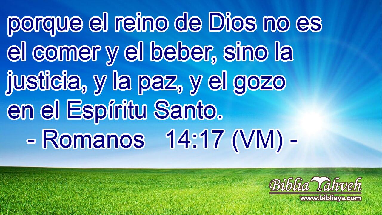  porque el reino de Dios no es el comer y el beber, sino la justicia, y la paz, y el gozo en el Espíritu Santo. 