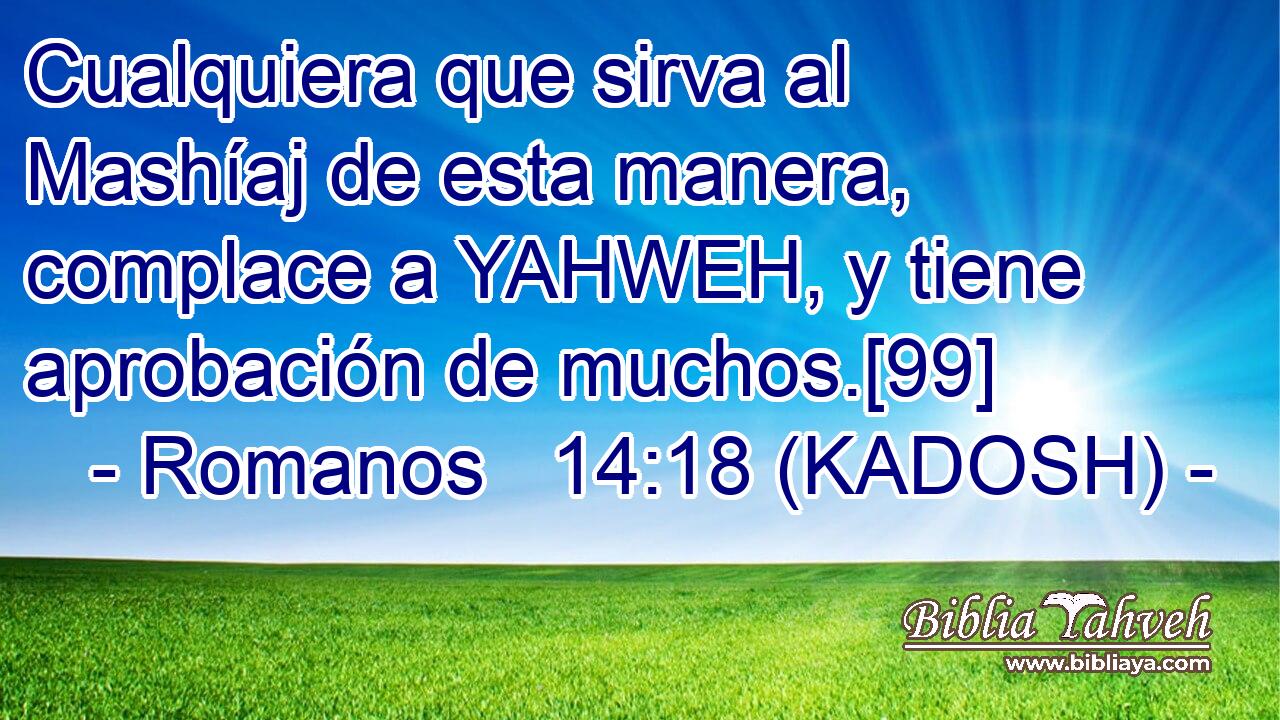 Cualquiera que sirva al Mashíaj de esta manera, complace a YAHWEH, y tiene aprobación de muchos.[99] 