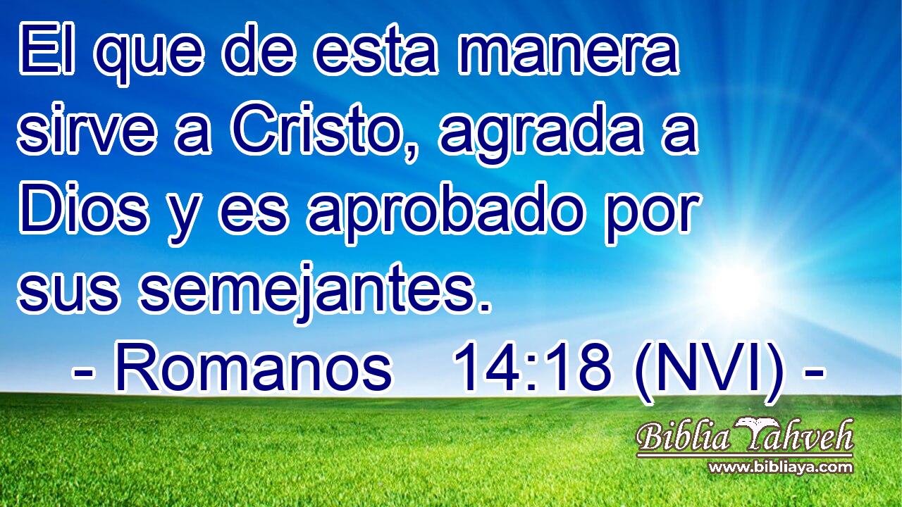  El que de esta manera sirve a Cristo, agrada a Dios y es aprobado por sus semejantes. 