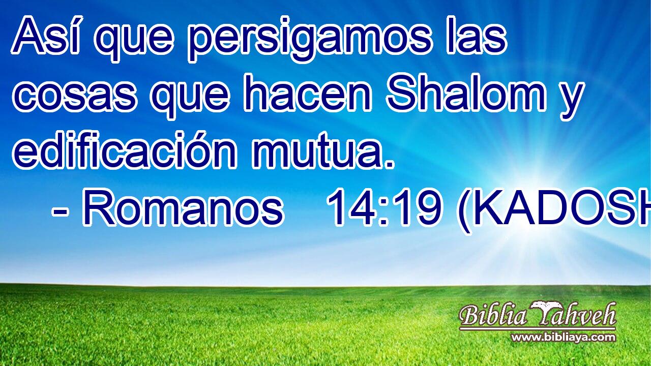  Así que persigamos las cosas que hacen Shalom y edificación mutua. 