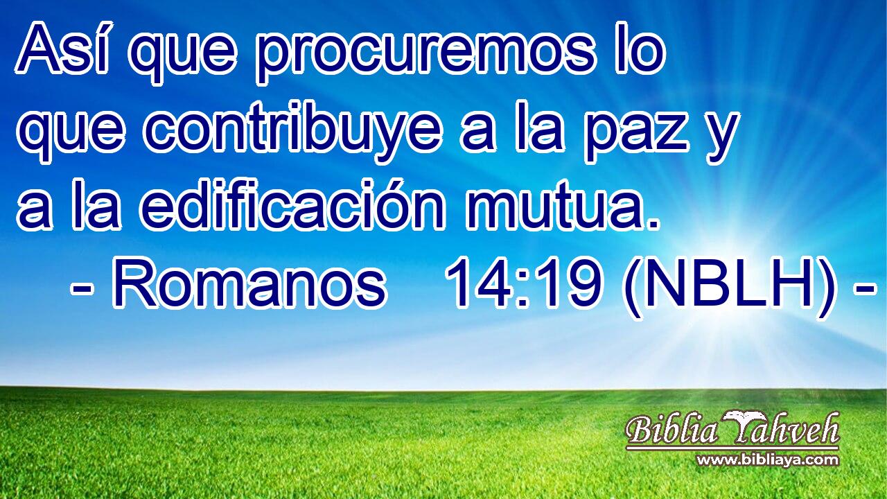  Así que procuremos lo que contribuye a la paz y a la edificación mutua. 