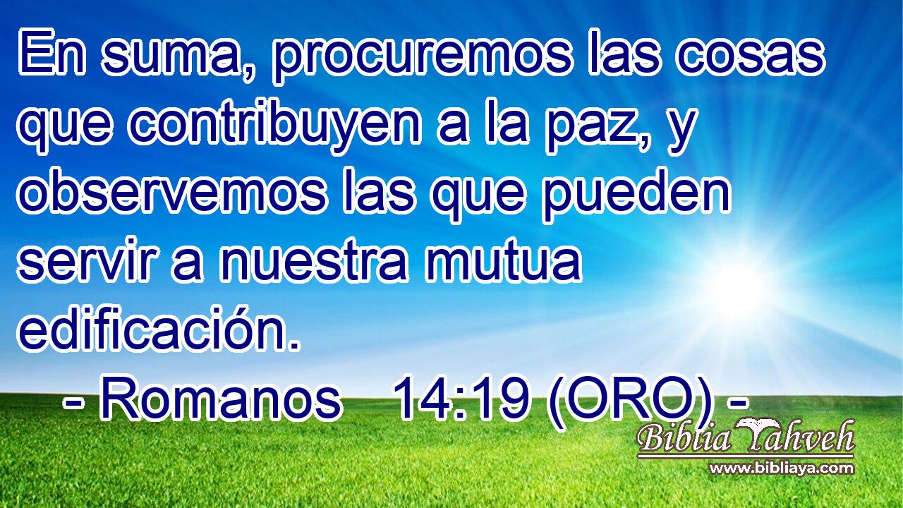  En suma, procuremos las cosas que contribuyen a la paz, y observemos las que pueden servir a nuestra mutua edificación. 
