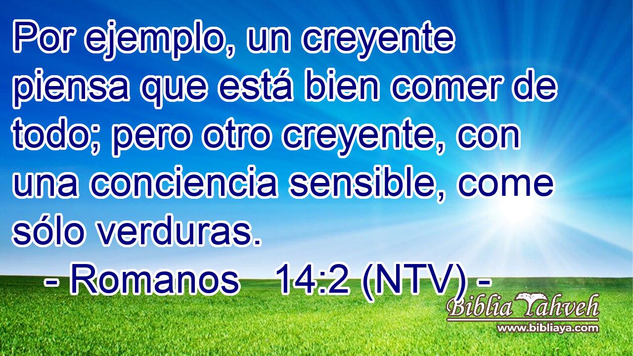 Por ejemplo, un creyente piensa que está bien comer de todo; pero otro creyente, con una conciencia sensible, come sólo verduras.