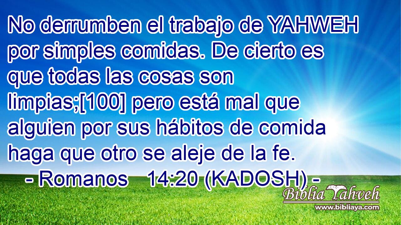  No derrumben el trabajo de YAHWEH por simples comidas. De cierto es que todas las cosas son limpias;[100] pero está mal que alguien por sus hábitos de comida haga que otro se aleje de la fe. 