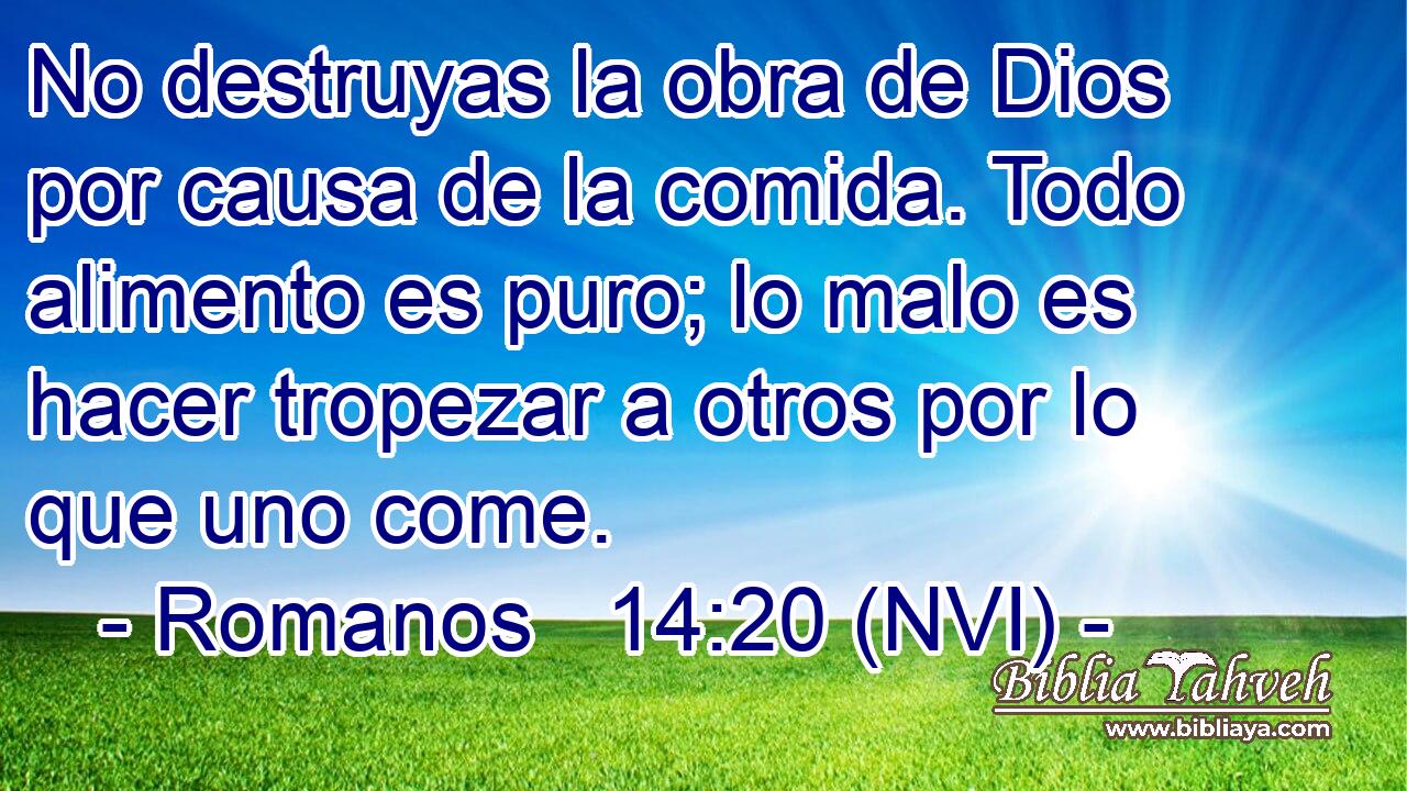  No destruyas la obra de Dios por causa de la comida. Todo alimento es puro; lo malo es hacer tropezar a otros por lo que uno come. 