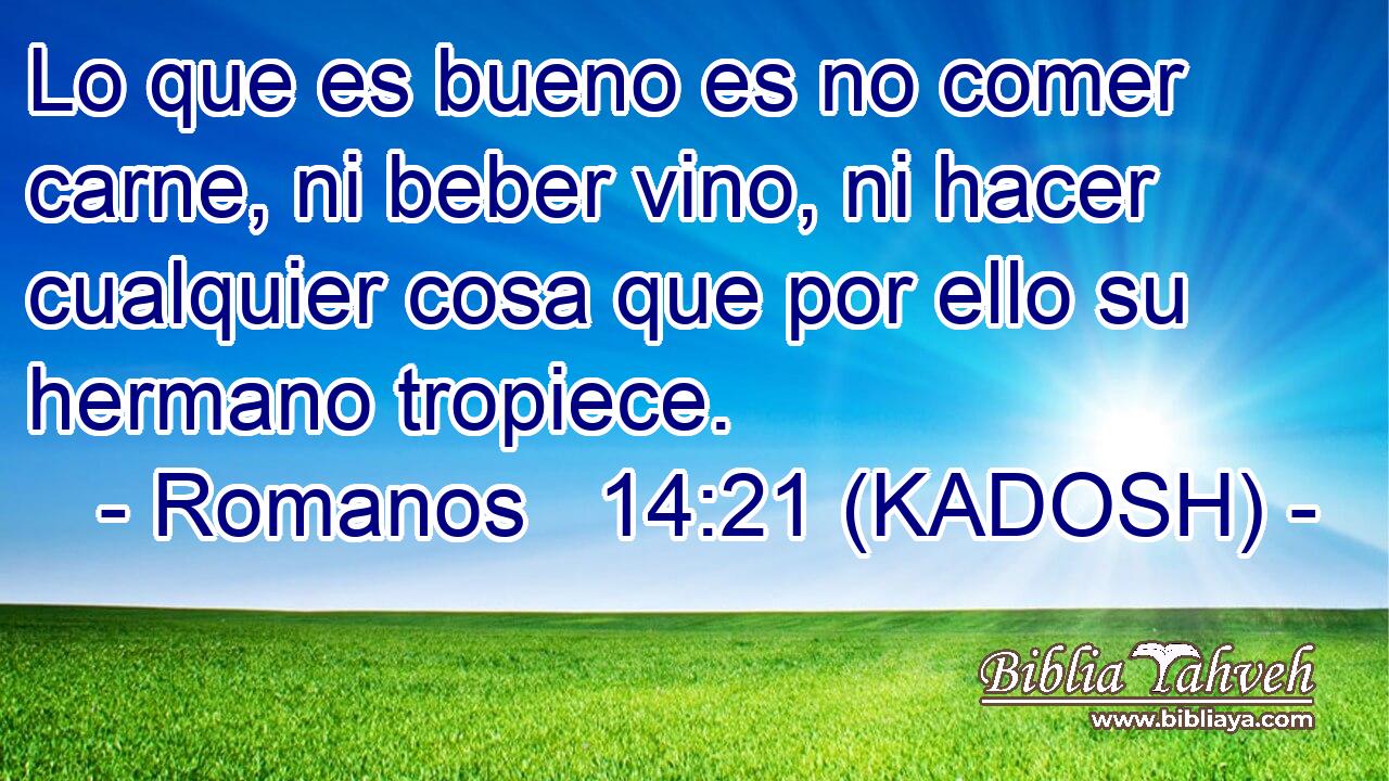  Lo que es bueno es no comer carne, ni beber vino, ni hacer cualquier cosa que por ello su hermano tropiece. 