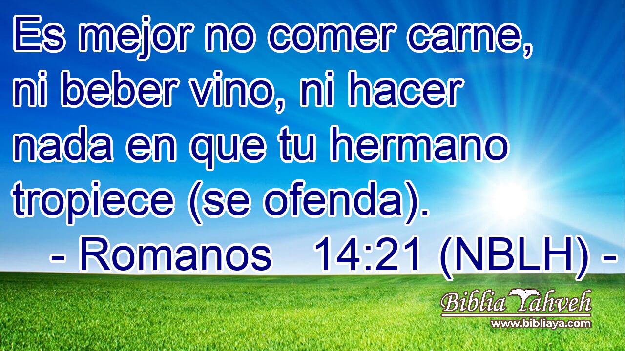  Es mejor no comer carne, ni beber vino, ni hacer nada en que tu hermano tropiece (se ofenda). 