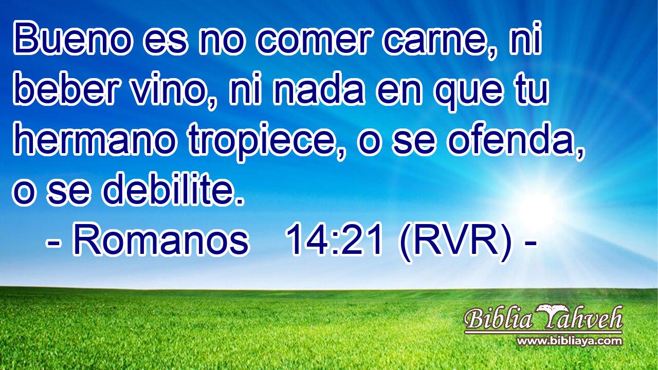 Bueno es no comer carne, ni beber vino, ni nada en que tu hermano tropiece, o se ofenda, o se debilite.
