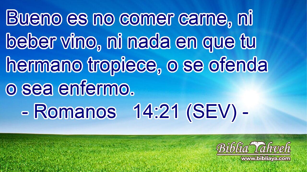 Bueno es no comer carne, ni beber vino, ni nada en que tu hermano tropiece, o se ofenda o sea enfermo.