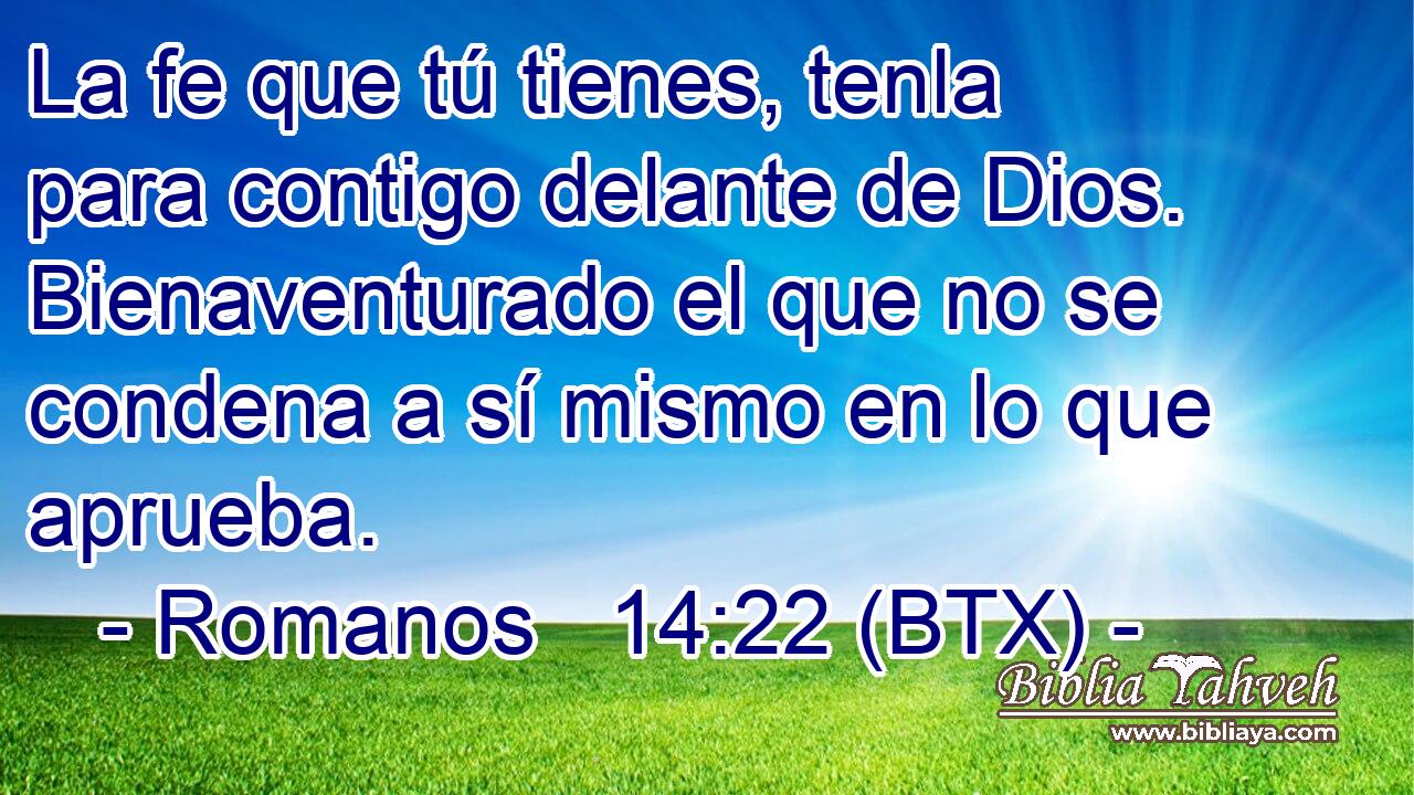 La fe que tú tienes, tenla para contigo delante de Dios. Bienaventurado el que no se condena a sí mismo en lo que aprueba.