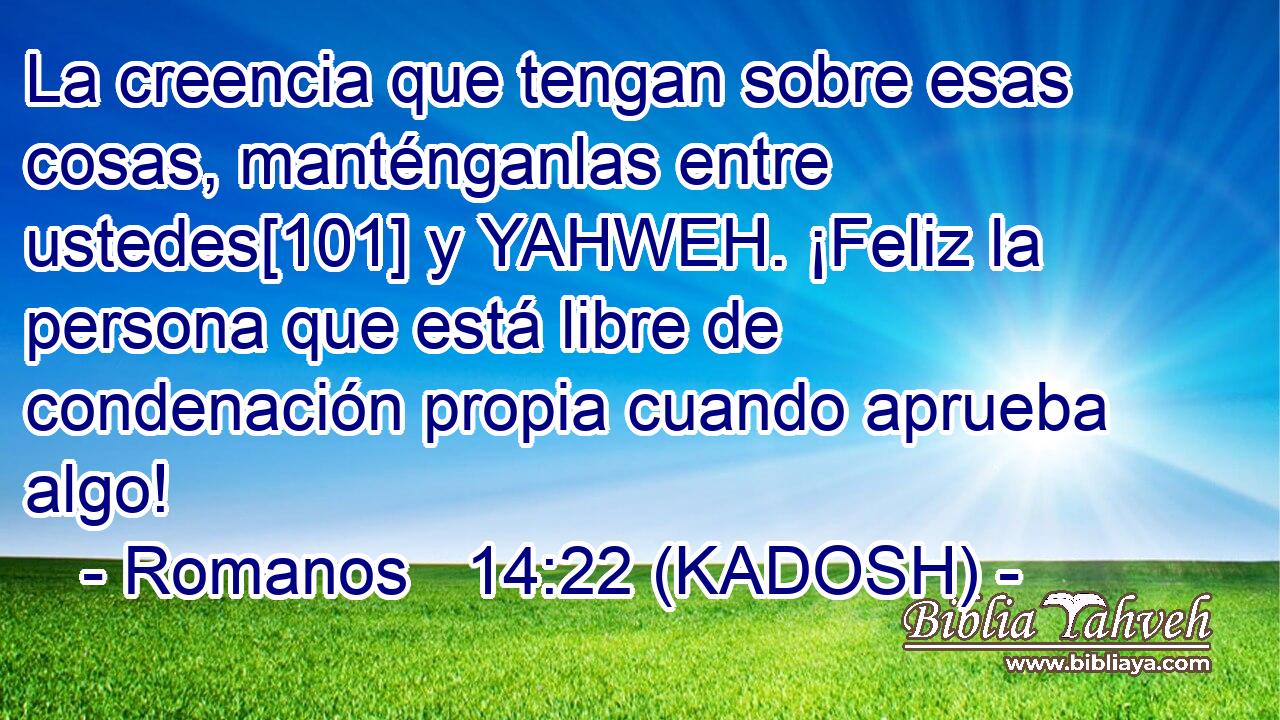  La creencia que tengan sobre esas cosas, manténganlas entre ustedes[101] y YAHWEH. ¡Feliz la persona que está libre de condenación propia cuando aprueba algo! 