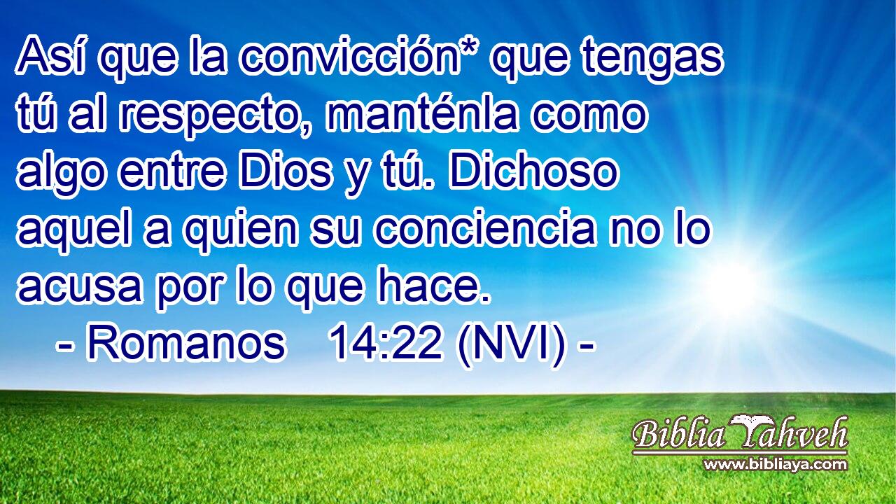  Así que la convicción* que tengas tú al respecto, manténla como algo entre Dios y tú. Dichoso aquel a quien su conciencia no lo acusa por lo que hace. 