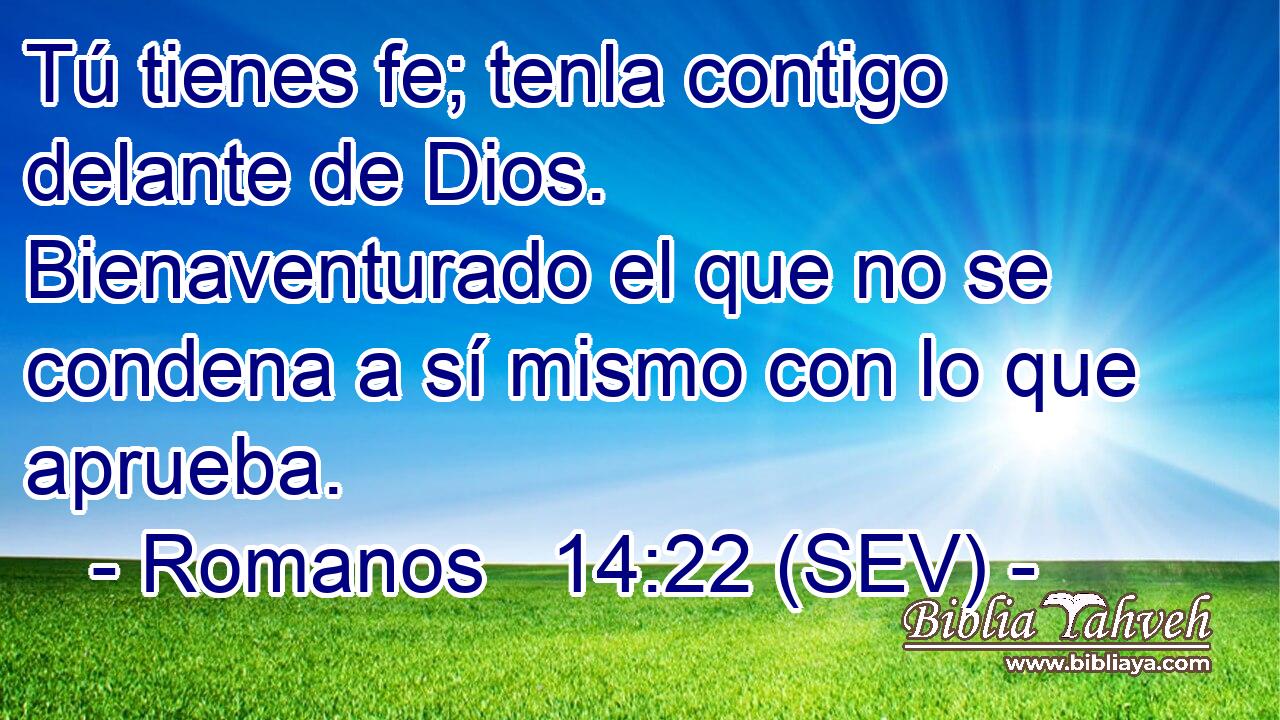Tú tienes fe; tenla contigo delante de Dios. Bienaventurado el que no se condena a sí mismo con lo que aprueba.