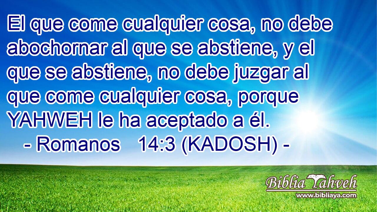  El que come cualquier cosa, no debe abochornar al que se abstiene, y el que se abstiene, no debe juzgar al que come cualquier cosa, porque YAHWEH le ha aceptado a él. 