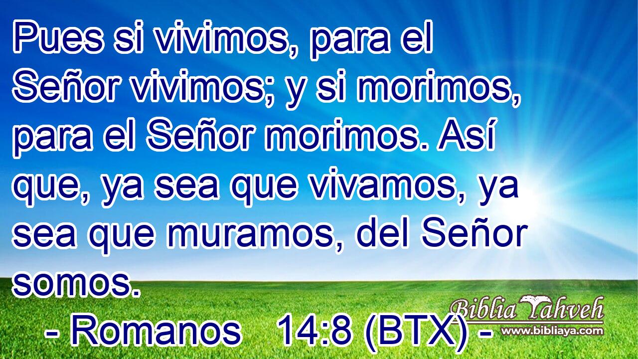 Pues si vivimos, para el Señor vivimos; y si morimos, para el Señor morimos. Así que, ya sea que vivamos, ya sea que muramos, del Señor somos.