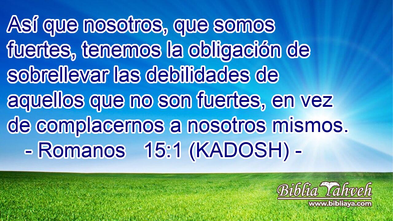  Así que nosotros, que somos fuertes, tenemos la obligación de sobrellevar las debilidades de aquellos que no son fuertes, en vez de complacernos a nosotros mismos. 