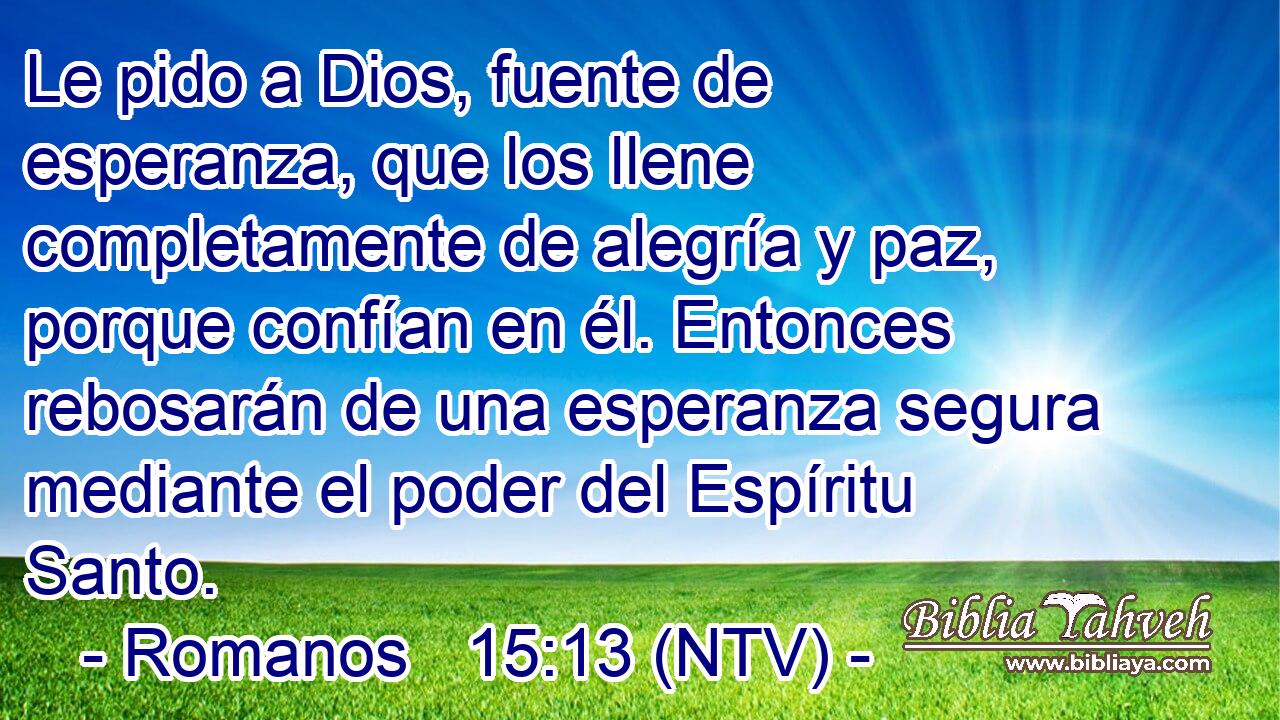 Le pido a Dios, fuente de esperanza, que los llene completamente de alegría y paz, porque confían en él. Entonces rebosarán de una esperanza segura mediante el poder del Espíritu Santo.