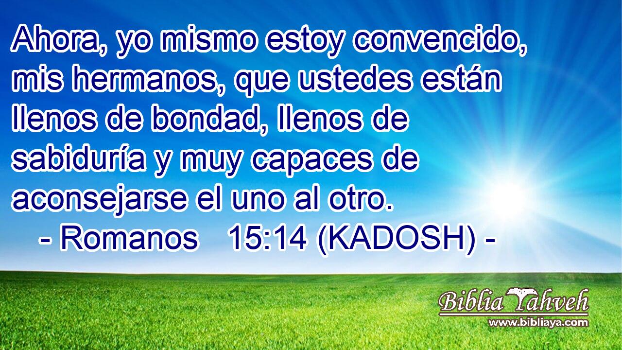  Ahora, yo mismo estoy convencido, mis hermanos, que ustedes están llenos de bondad, llenos de sabiduría y muy capaces de aconsejarse el uno al otro. 