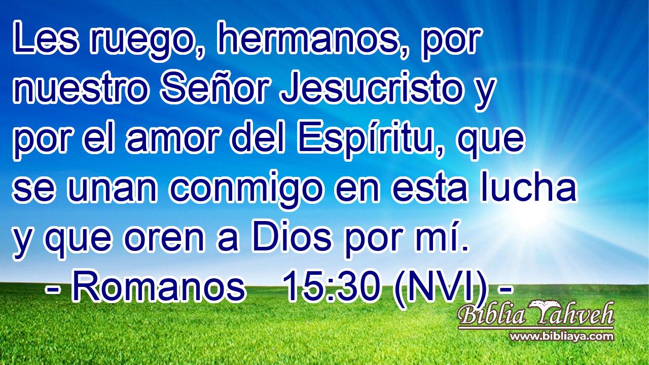 Les ruego, hermanos, por nuestro Señor Jesucristo y por el amor del Espíritu, que se unan conmigo en esta lucha y que oren a Dios por mí. 