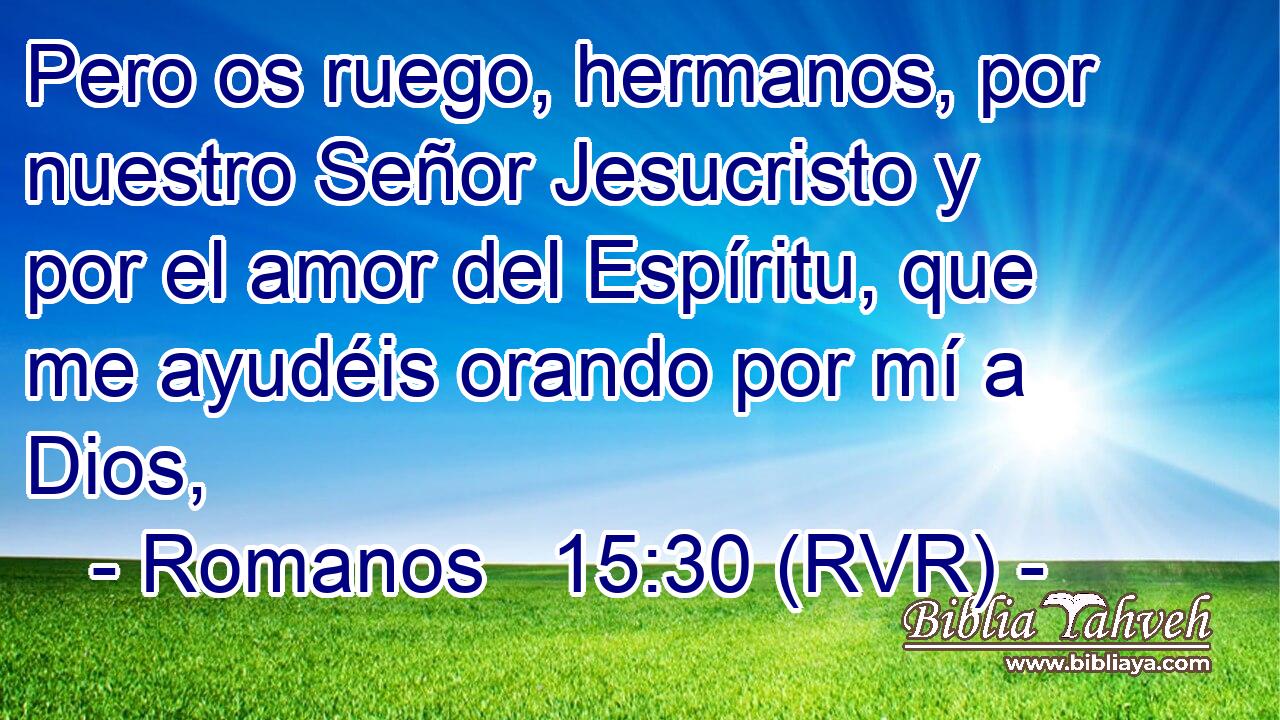 Pero os ruego, hermanos, por nuestro Señor Jesucristo y por el amor del Espíritu, que me ayudéis orando por mí a Dios,