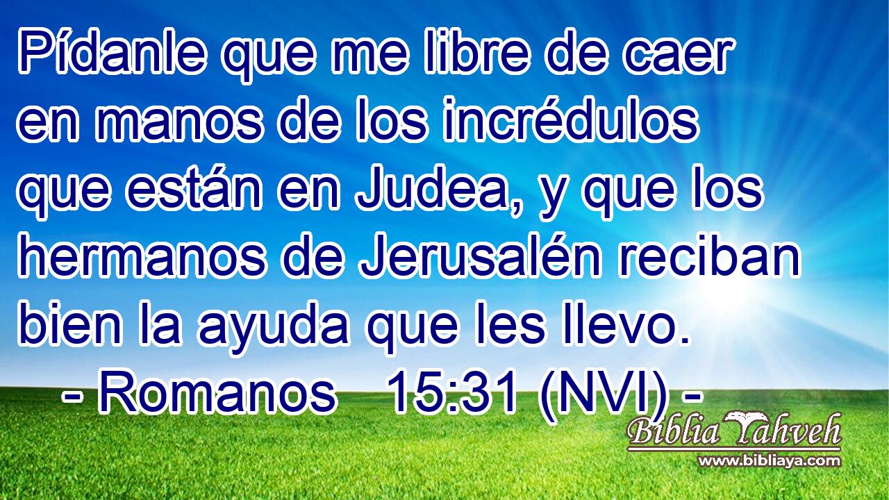  Pídanle que me libre de caer en manos de los incrédulos que están en Judea, y que los hermanos de Jerusalén reciban bien la ayuda que les llevo. 