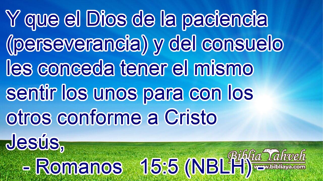  Y que el Dios de la paciencia (perseverancia) y del consuelo les conceda tener el mismo sentir los unos para con los otros conforme a Cristo Jesús, 