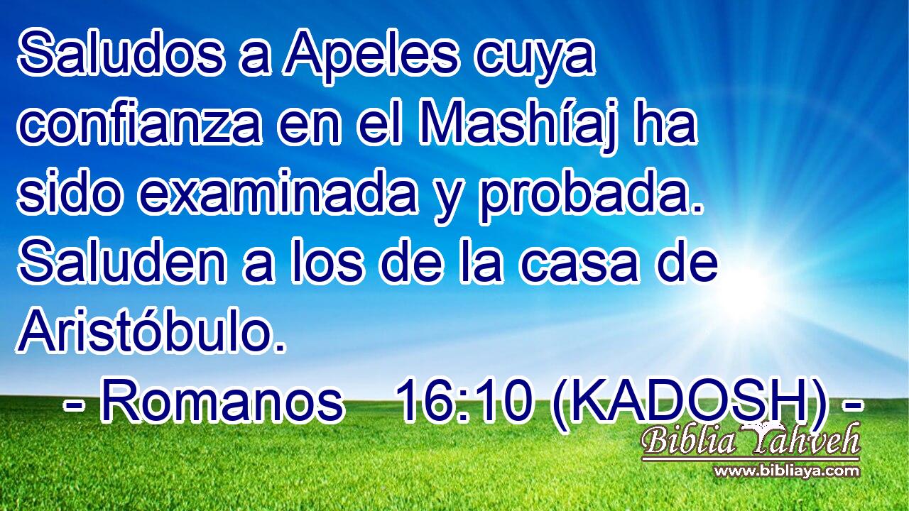  Saludos a Apeles cuya confianza en el Mashíaj ha sido examinada y probada. Saluden a los de la casa de Aristóbulo. 