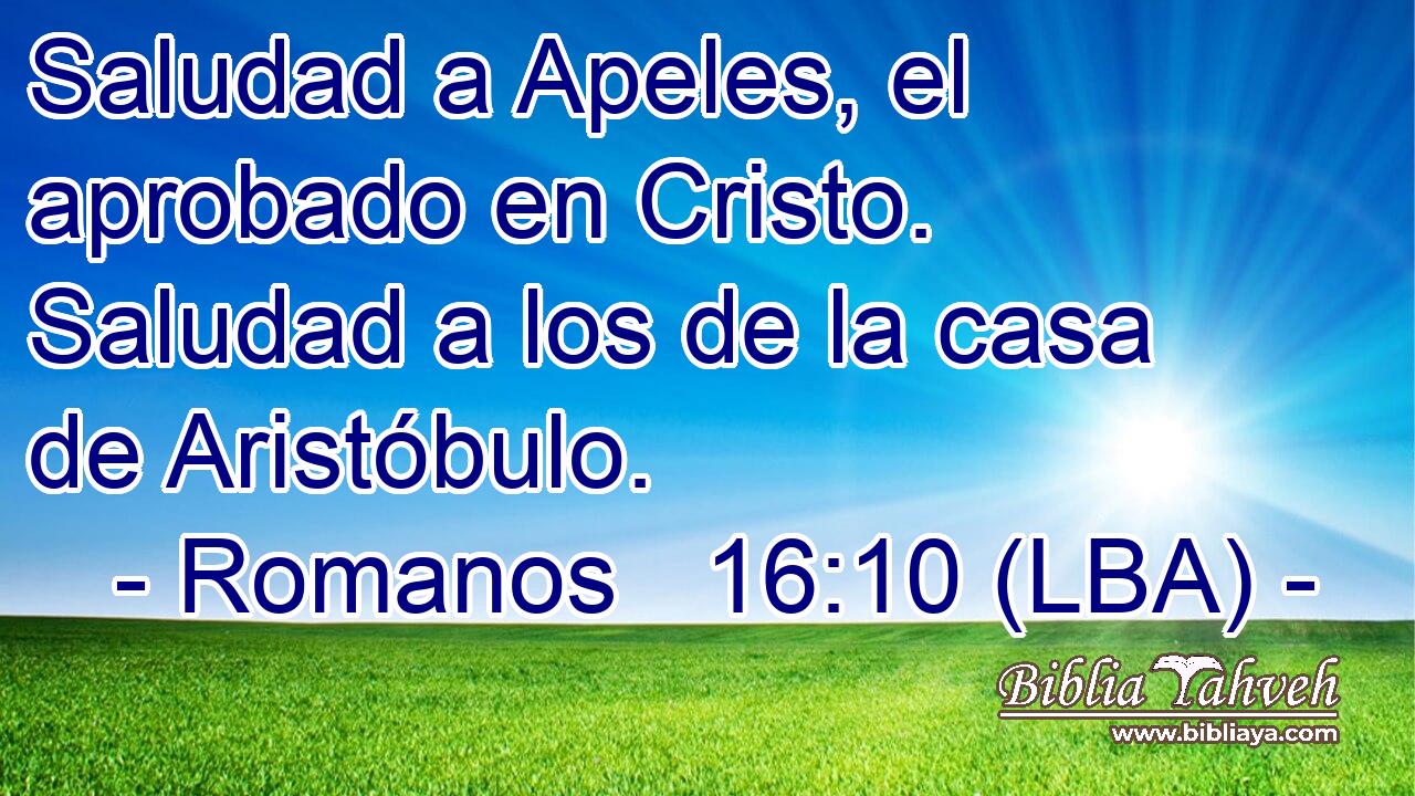 Saludad a Apeles, el aprobado en Cristo. Saludad a los de la casa de Aristóbulo.