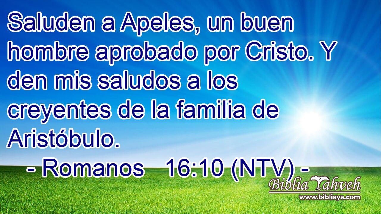 Saluden a Apeles, un buen hombre aprobado por Cristo. Y den mis saludos a los creyentes de la familia de Aristóbulo.
