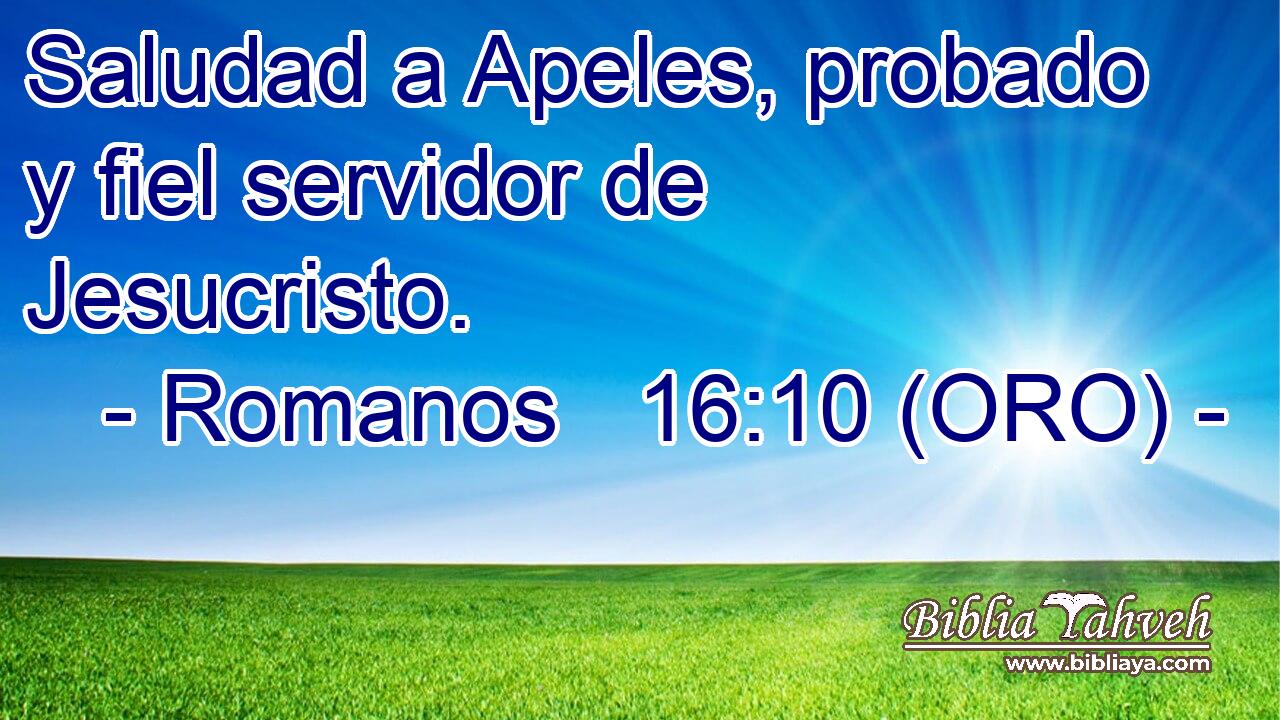  Saludad a Apeles, probado y fiel servidor de Jesucristo. 