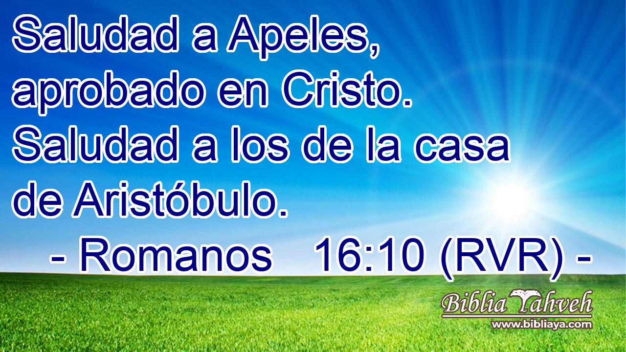 Saludad a Apeles, aprobado en Cristo. Saludad a los de la casa de Aristóbulo.