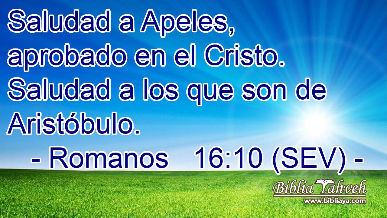 Saludad a Apeles, aprobado en el Cristo. Saludad a los que son de Aristóbulo.