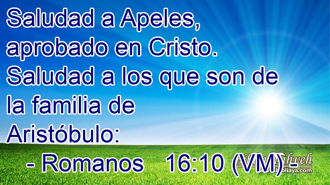  Saludad a Apeles, aprobado en Cristo. Saludad a los que son de la familia de Aristóbulo: 