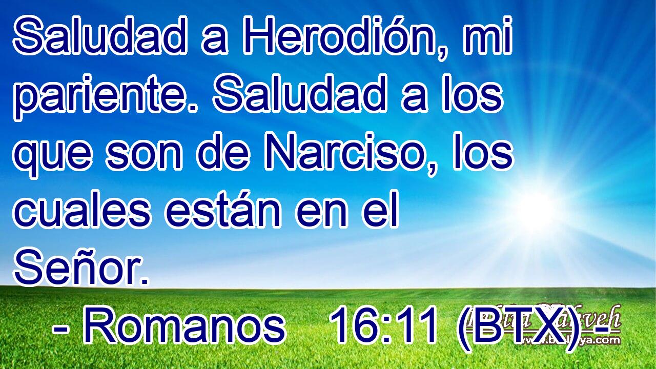 Saludad a Herodión, mi pariente. Saludad a los que son de Narciso, los cuales están en el Señor.