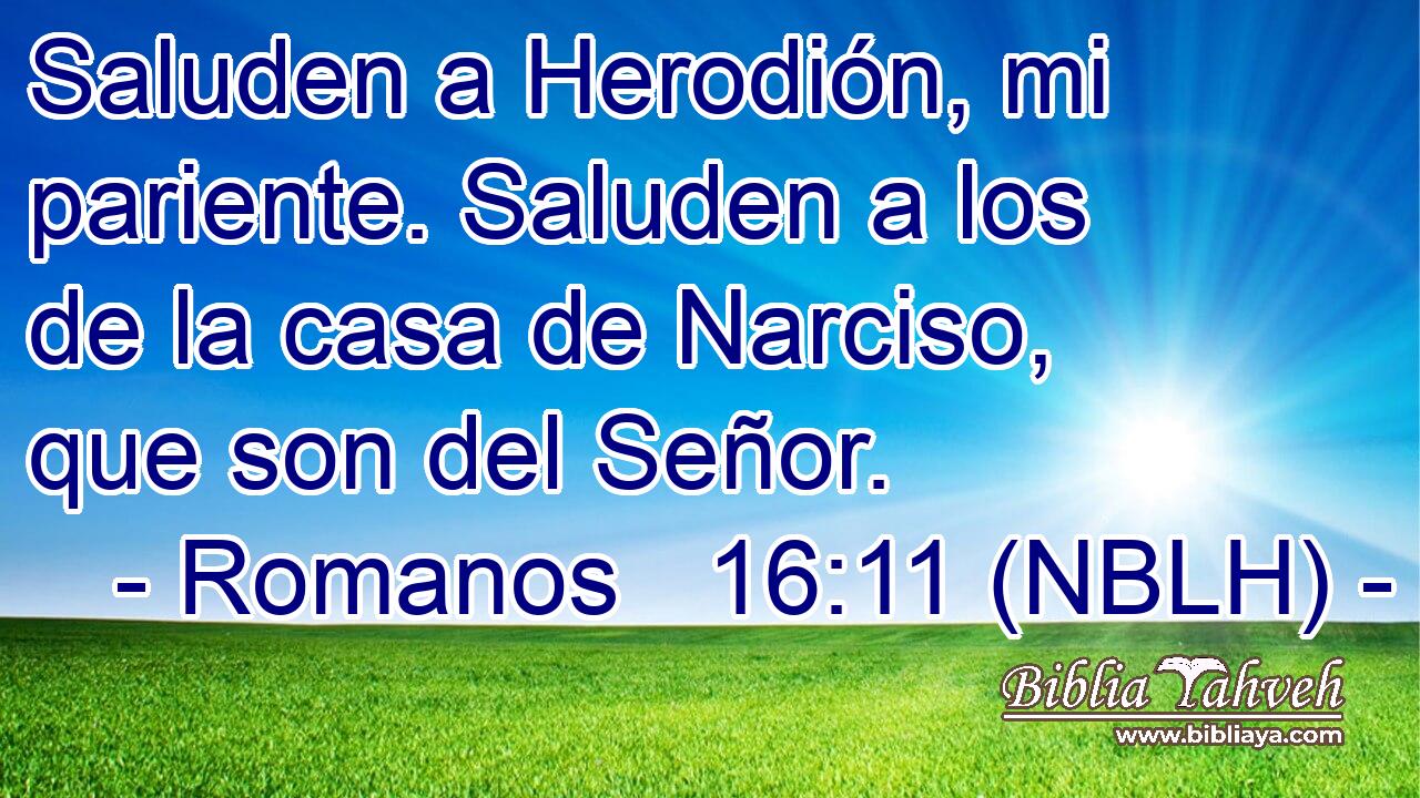  Saluden a Herodión, mi pariente. Saluden a los de la casa de Narciso, que son del Señor. 