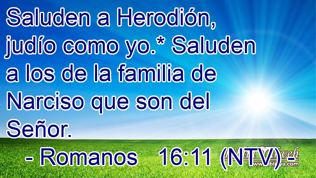 Saluden a Herodión, judío como yo.* Saluden a los de la familia de Narciso que son del Señor.