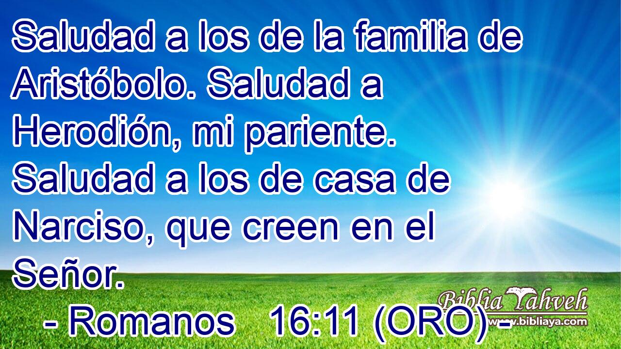  Saludad a los de la familia de Aristóbolo. Saludad a Herodión, mi pariente. Saludad a los de casa de Narciso, que creen en el Señor. 