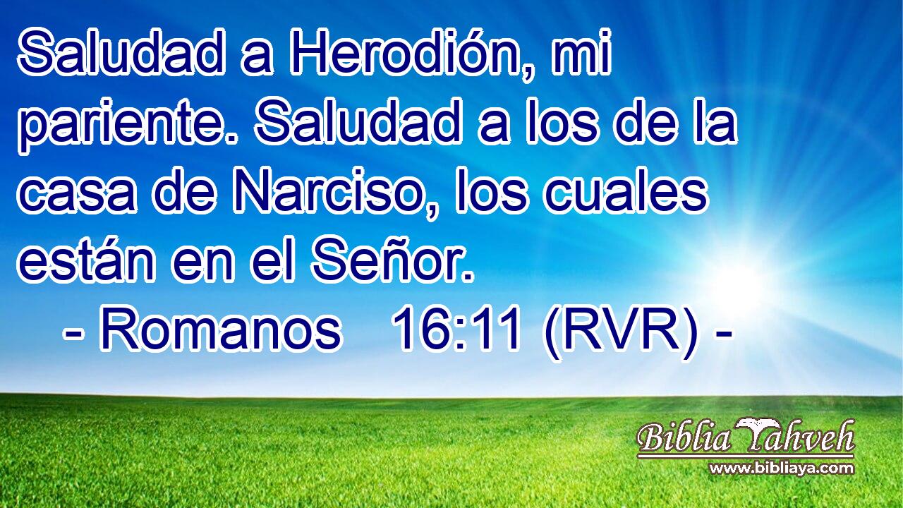 Saludad a Herodión, mi pariente. Saludad a los de la casa de Narciso, los cuales están en el Señor.
