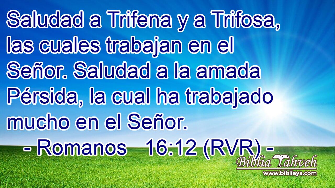 Saludad a Trifena y a Trifosa, las cuales trabajan en el Señor. Saludad a la amada Pérsida, la cual ha trabajado mucho en el Señor.