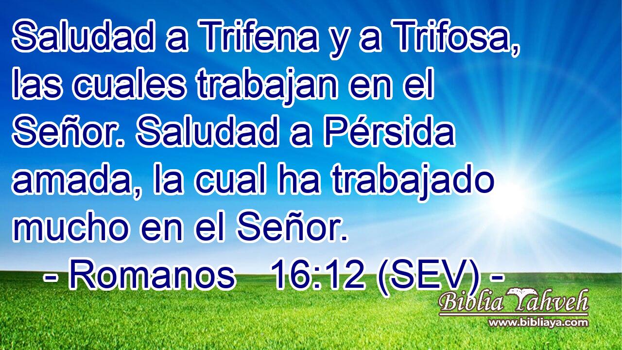 Saludad a Trifena y a Trifosa, las cuales trabajan en el Señor. Saludad a Pérsida amada, la cual ha trabajado mucho en el Señor.