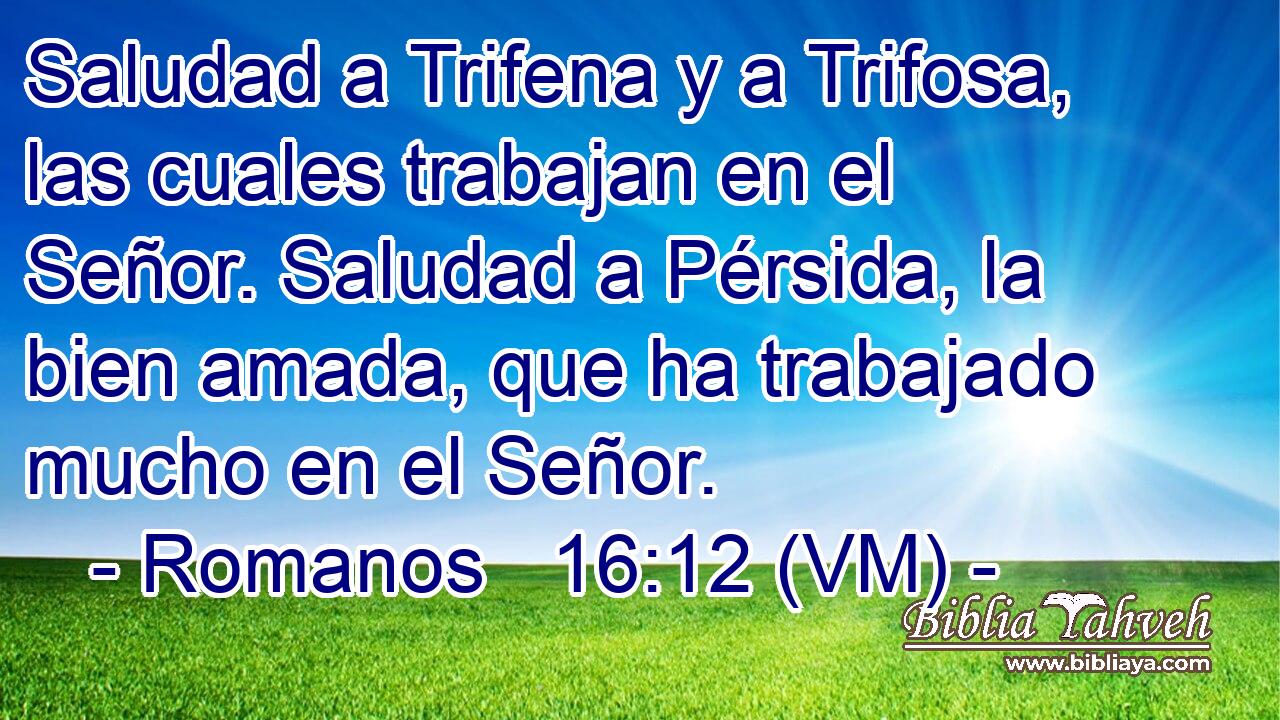  Saludad a Trifena y a Trifosa, las cuales trabajan en el Señor. Saludad a Pérsida, la bien amada, que ha trabajado mucho en el Señor. 