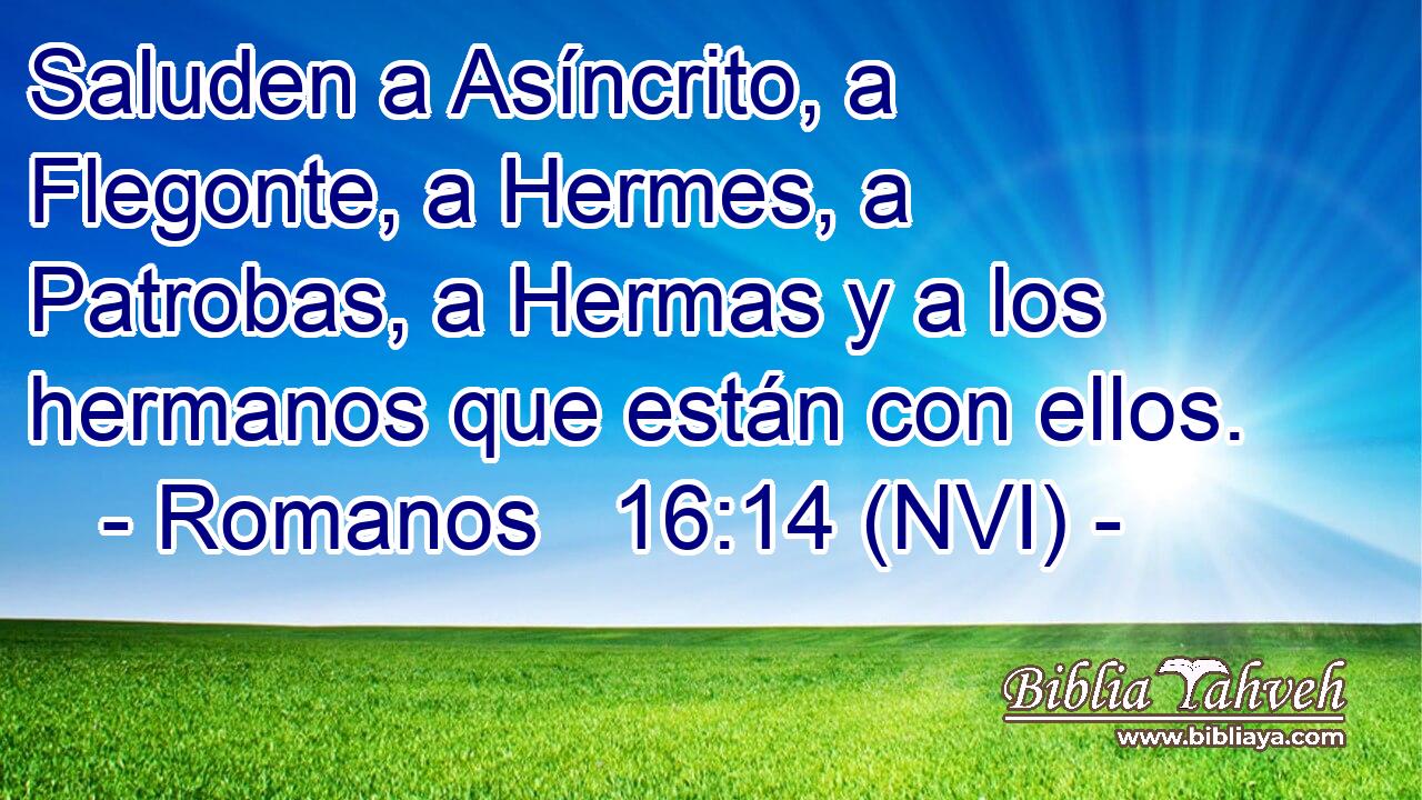 Saluden a Asíncrito, a Flegonte, a Hermes, a Patrobas, a Hermas y a los hermanos que están con ellos. 