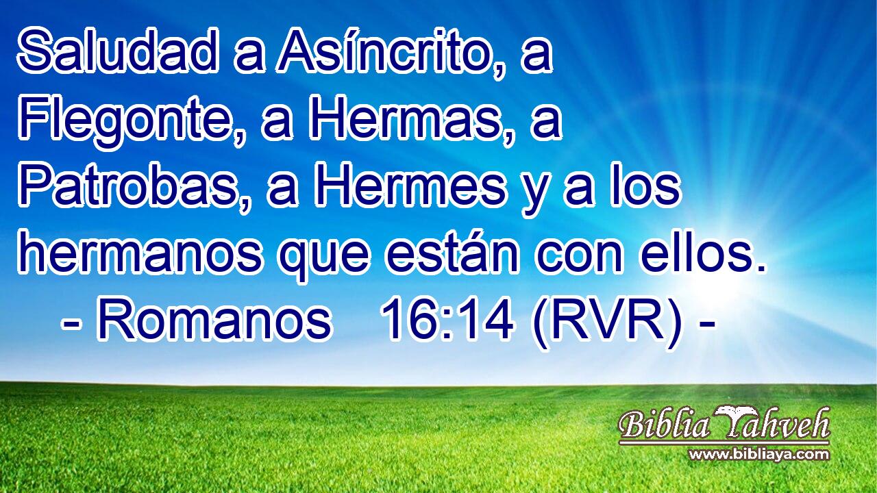 Saludad a Asíncrito, a Flegonte, a Hermas, a Patrobas, a Hermes y a los hermanos que están con ellos.