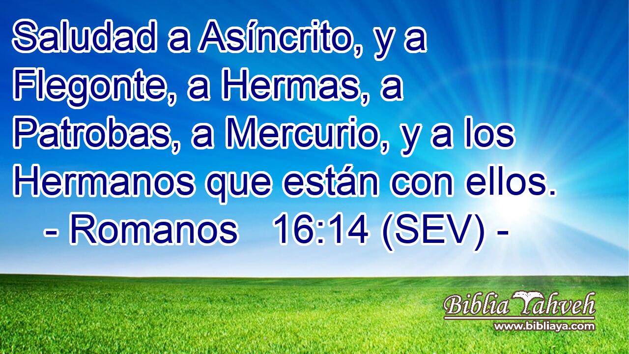 Saludad a Asíncrito, y a Flegonte, a Hermas, a Patrobas, a Mercurio, y a los Hermanos que están con ellos.