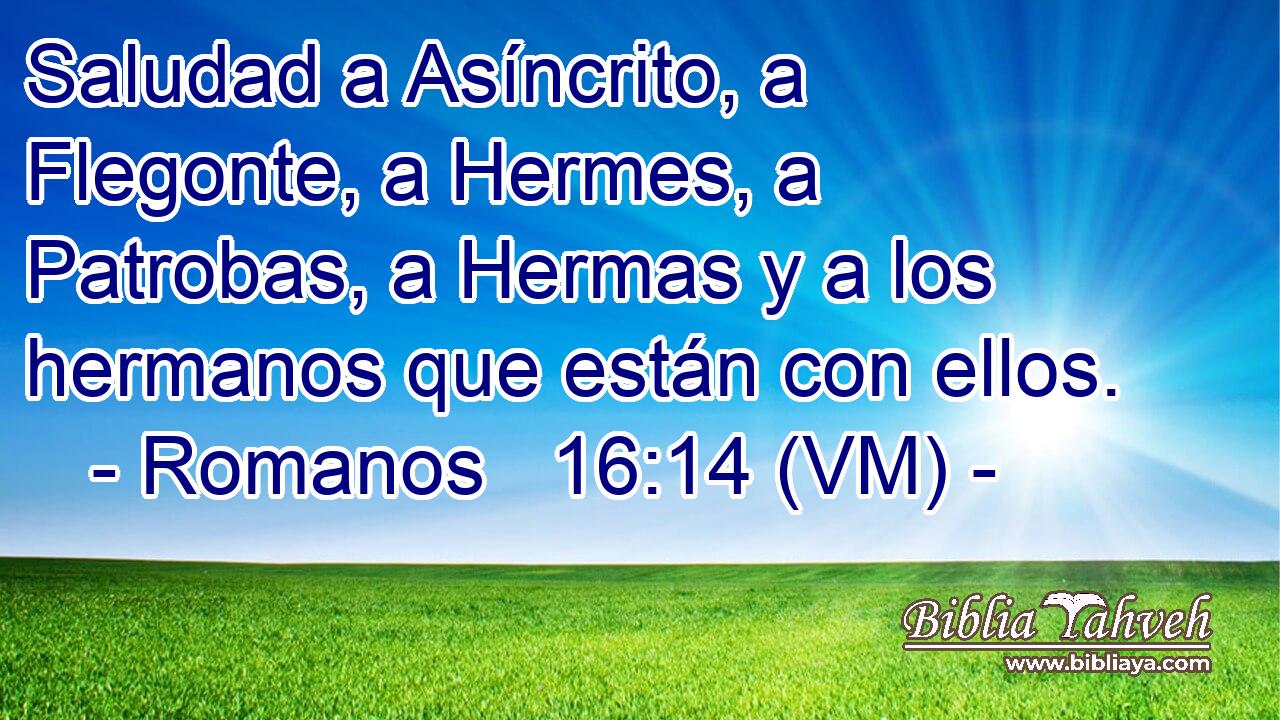  Saludad a Asíncrito, a Flegonte, a Hermes, a Patrobas, a Hermas y a los hermanos que están con ellos. 