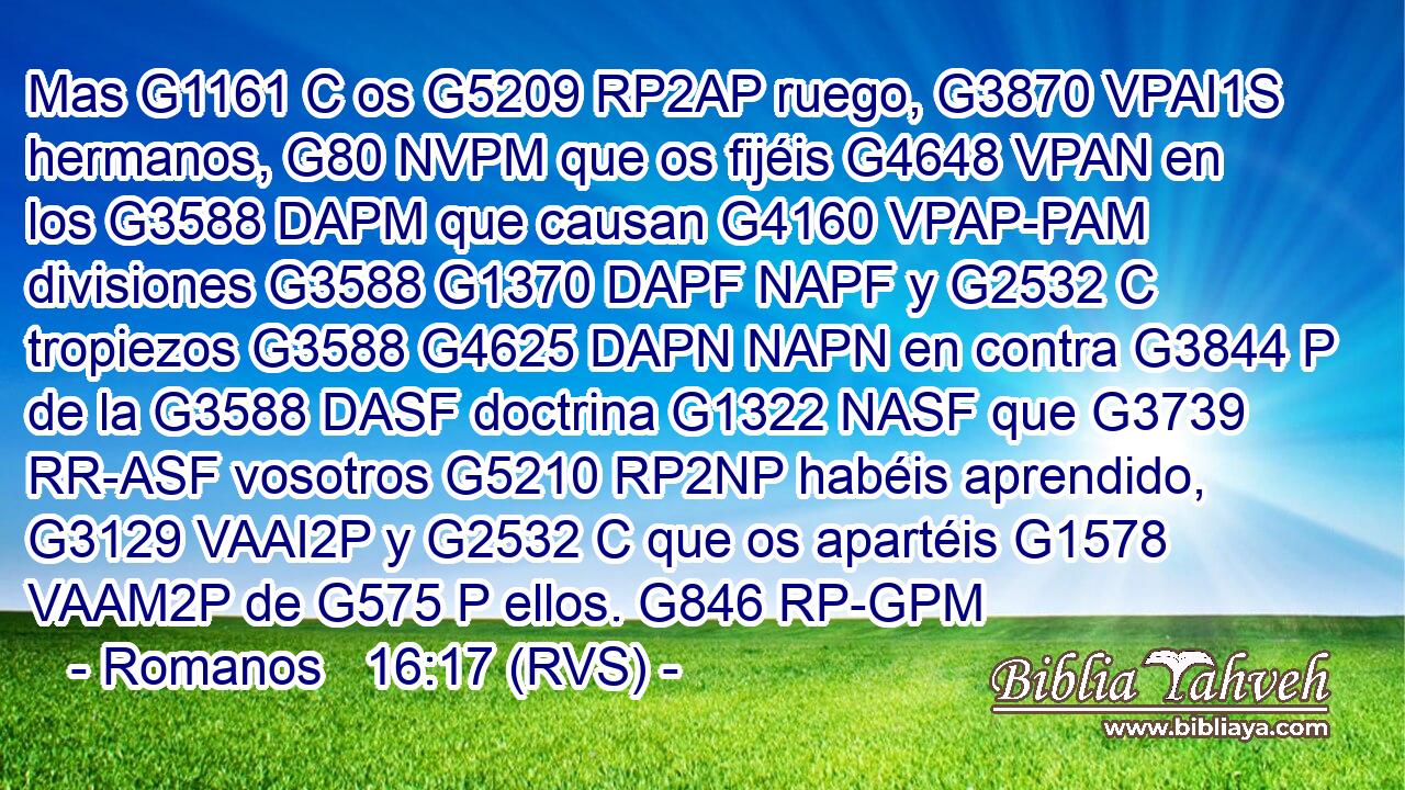 Mas G1161 C os G5209 RP2AP ruego, G3870 VPAI1S hermanos, G80 NVPM que os fijéis G4648 VPAN en los G3588 DAPM que causan G4160 VPAP-PAM divisiones G3588 G1370 DAPF NAPF y G2532 C tropiezos G3588 G4625 DAPN NAPN en contra G3844 P de la G3588 DASF doctrina G1322 NASF que G3739 RR-ASF vosotros G5210 RP2NP habéis aprendido, G3129 VAAI2P y G2532 C que os apartéis G1578 VAAM2P de G575 P ellos. G846 RP-GPM 