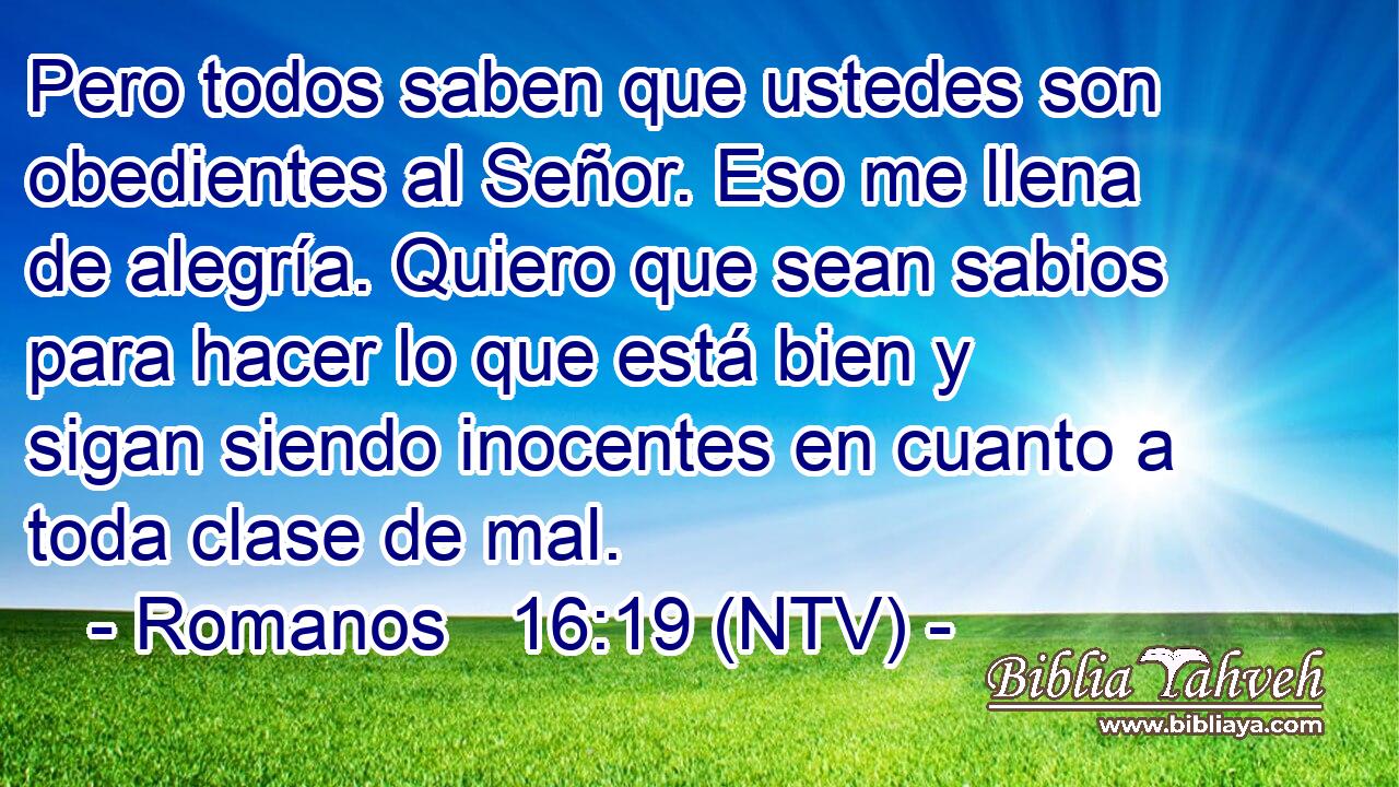 Pero todos saben que ustedes son obedientes al Señor. Eso me llena de alegría. Quiero que sean sabios para hacer lo que está bien y sigan siendo inocentes en cuanto a toda clase de mal.
