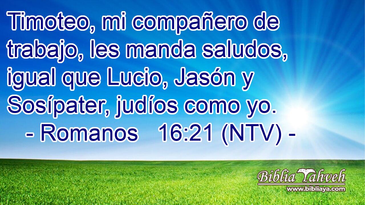 Timoteo, mi compañero de trabajo, les manda saludos, igual que Lucio, Jasón y Sosípater, judíos como yo.