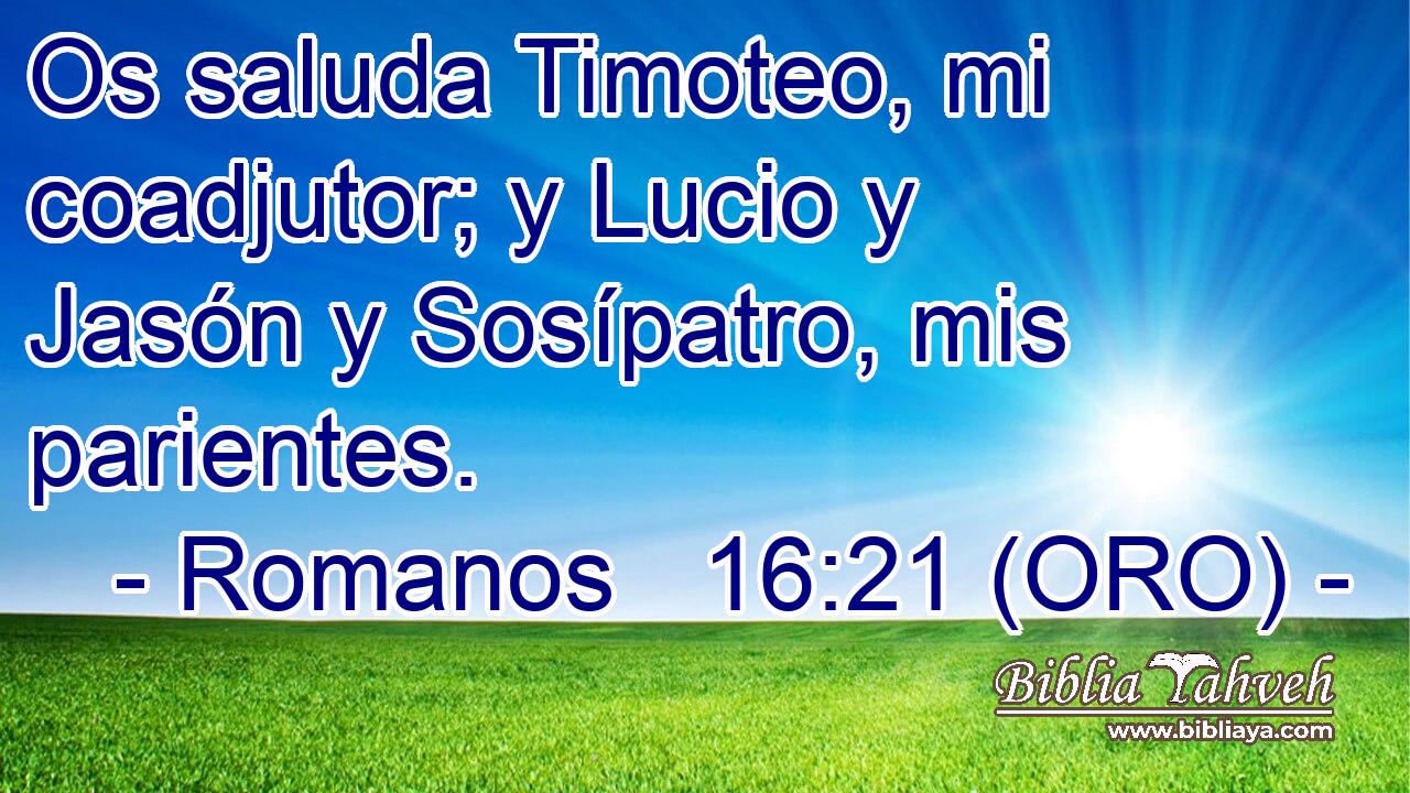  Os saluda Timoteo, mi coadjutor; y Lucio y Jasón y Sosípatro, mis parientes. 